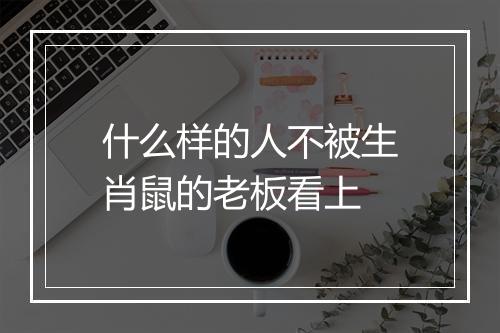 什么样的人不被生肖鼠的老板看上
