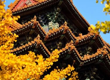 北京公司起名大全-第2张
