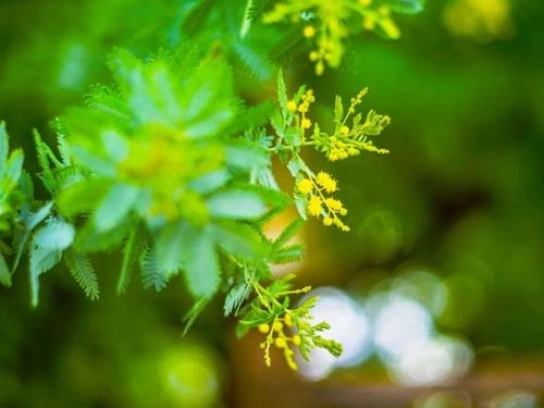 羊年最独特个性女宝宝名字大全-第2张