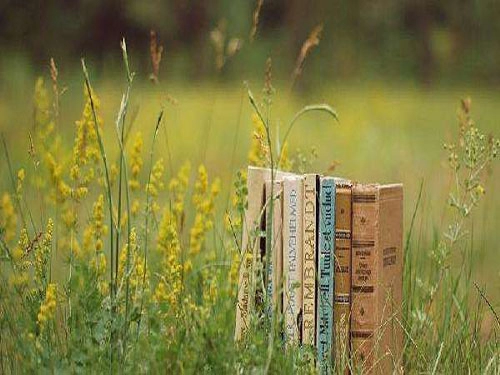 揭秘2017年9月国际节日-第2张