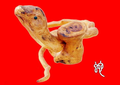 十二生肖之蛇的象征意义-第1张