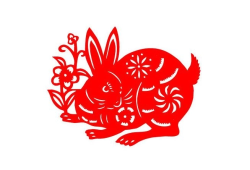 兔年出生的人取名宜忌 兔年出生的人取名不宜用这些字-第1张