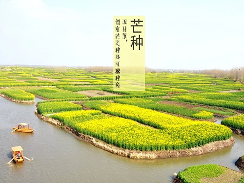 2016年二十四节气之芒种的谚语-第1张