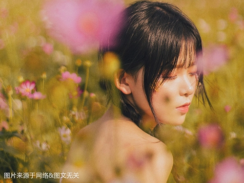 日子充实，快乐相伴的生肖-第1张