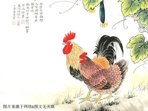 2021年88岁属什么生肖，属什么命-第1张