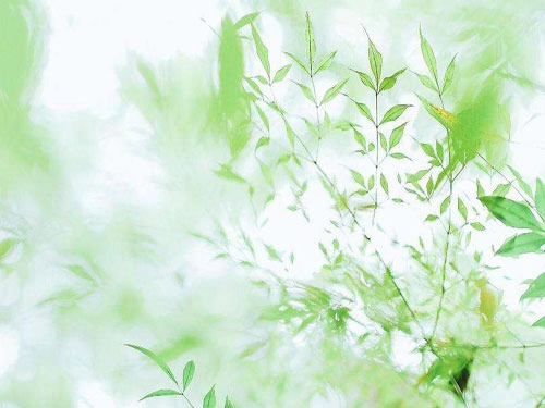 揭秘2017年8月国际节日-第1张