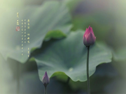 夏至有什么样的风水习俗的呢-第1张