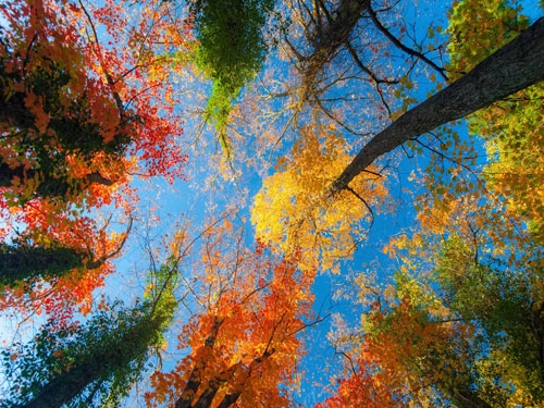 揭秘2017年10月国际节日-第1张