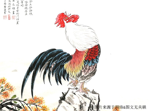 2021年64岁属什么生肖，整体运势如何-第1张