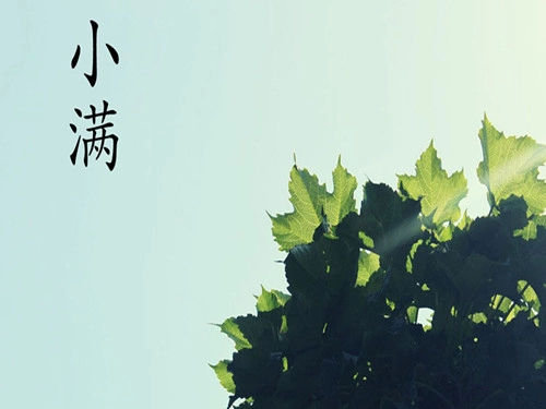 2016年二十四节气之小满的谚语-第1张
