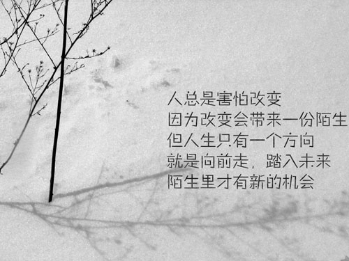 美轮美奂的女孩名字-第4张
