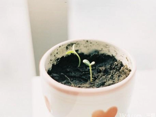 女孩取名取名的忌讳你都知道吗？-第1张