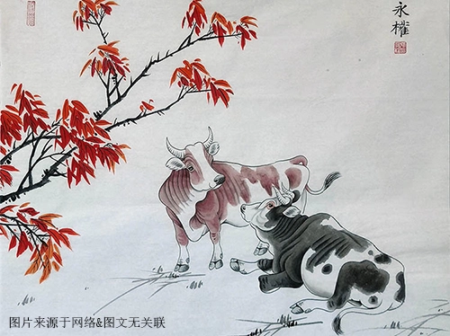 2021年72岁属什么生肖，整体运势如何-第1张