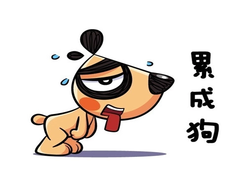 一起认识生肖狗的贵人属相-第1张