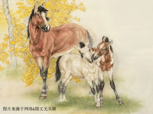 2021年79岁属什么生肖，几月出生最好-第1张