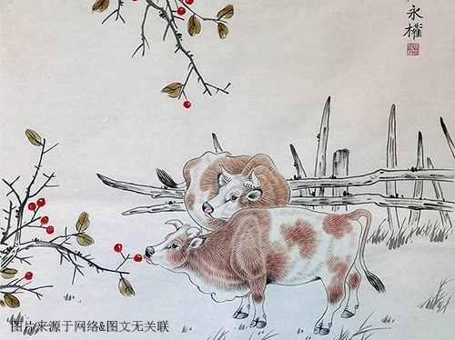 2021年84岁属什么生肖，几月出生最好-第1张