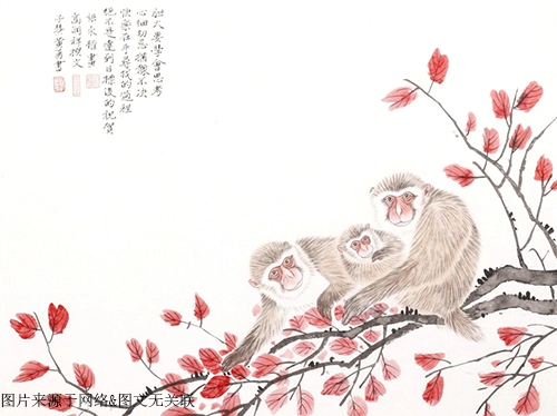 2021年77岁属什么生肖，几月出生最好-第1张