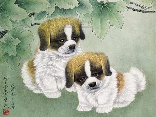 2021年75岁属什么生肖，几月出生最好-第1张