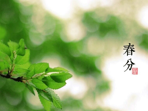 什么生肖会在春分后运势大好呢-第1张