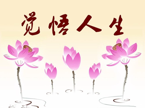 赢得人生的生肖-第1张