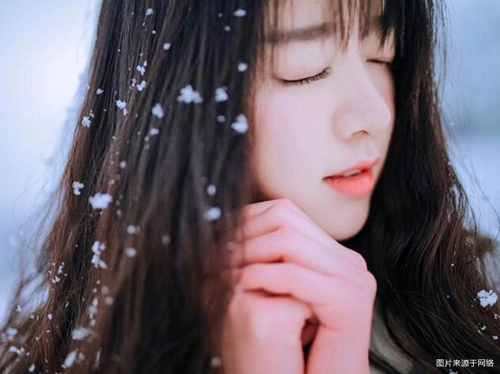 绝不会为了家庭而放弃事业的生肖女-第1张