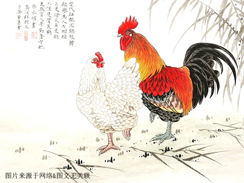 2021年76岁属什么生肖，几月出生最好-第1张