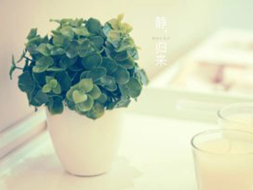 好听的双胞胎宝宝名字参考大全！-第2张