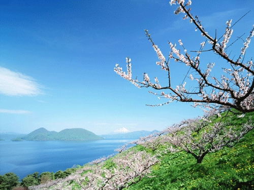 从姓名生肖看你的流连运势（上）-第2张