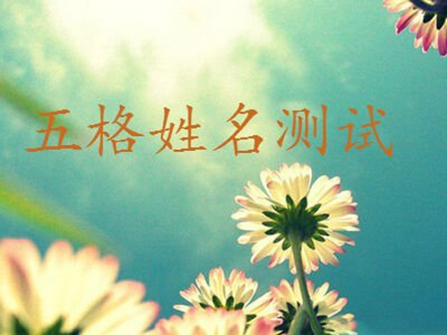 在线测试宝宝名字好坏-第1张